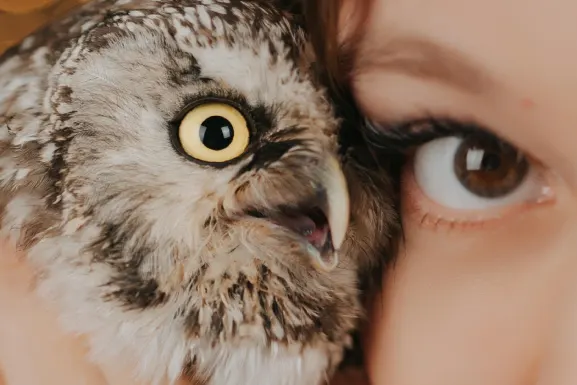 لوتومارت كازينو الدعم